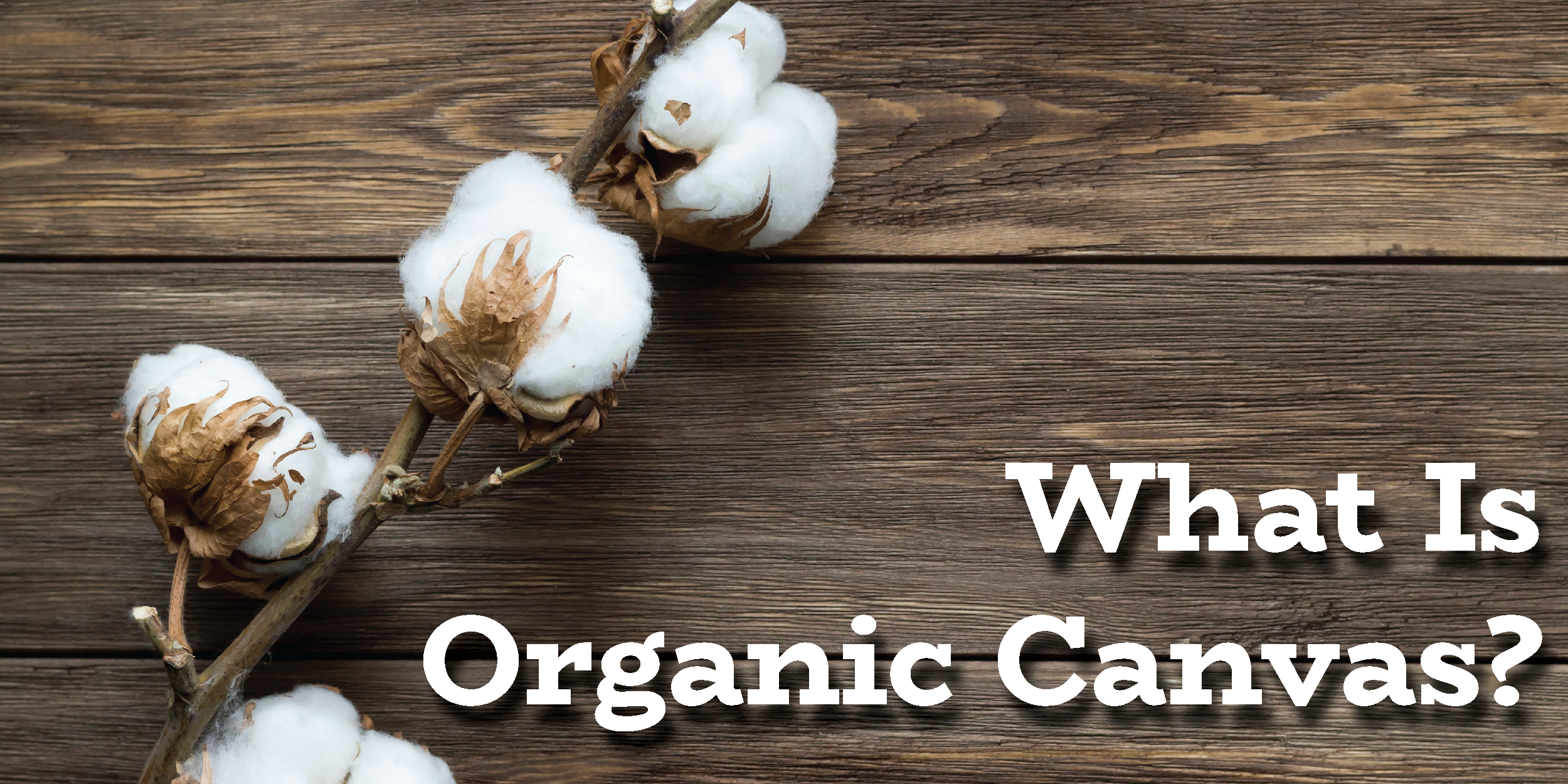 What is Organic Canvas?